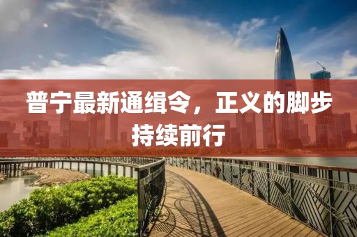 普宁最新通缉令，正义的脚步持续前行