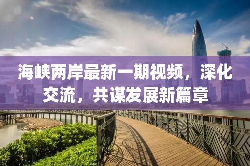 海峡两岸最新一期视频，深化交流，共谋发展新篇章