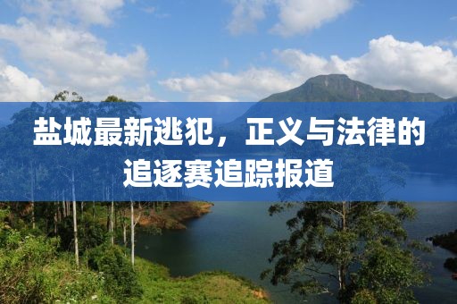 盐城最新逃犯，正义与法律的追逐赛追踪报道