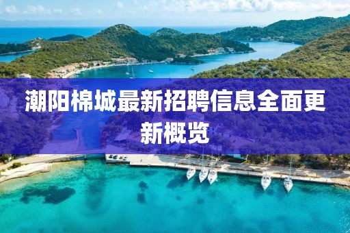 潮阳棉城最新招聘信息全面更新概览