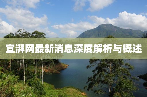 宜湃网最新消息深度解析与概述