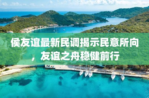 侯友谊最新民调揭示民意所向，友谊之舟稳健前行