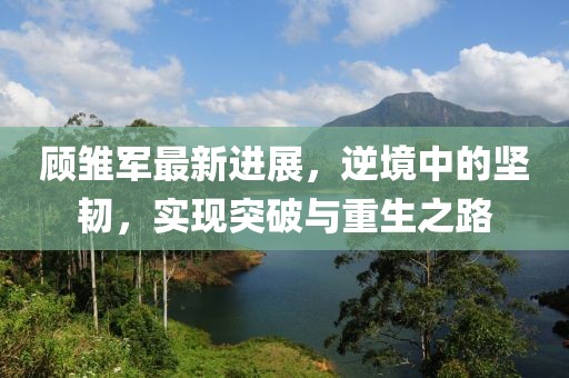 顾雏军最新进展，逆境中的坚韧，实现突破与重生之路