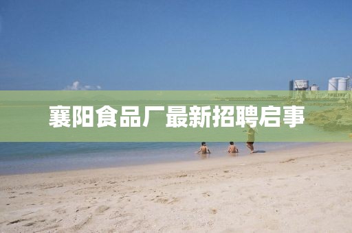 襄阳食品厂最新招聘启事