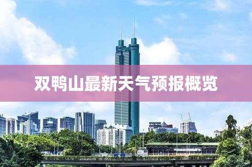 双鸭山最新天气预报概览