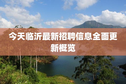今天临沂最新招聘信息全面更新概览