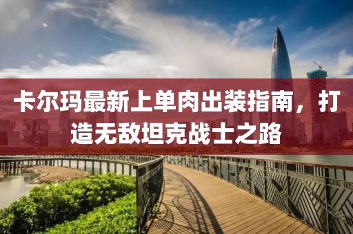 卡尔玛最新上单肉出装指南，打造无敌坦克战士之路