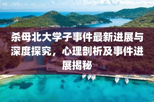 杀母北大学子事件最新进展与深度探究，心理剖析及事件进展揭秘