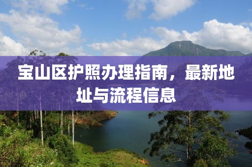 宝山区护照办理指南，最新地址与流程信息