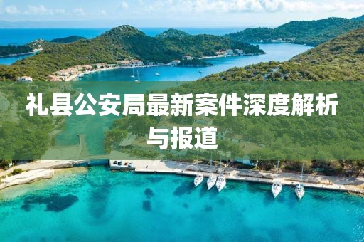 礼县公安局最新案件深度解析与报道