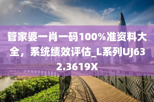 管家婆一肖一码100%准资料大全，系统绩效评估_L系列UJ632.3619X
