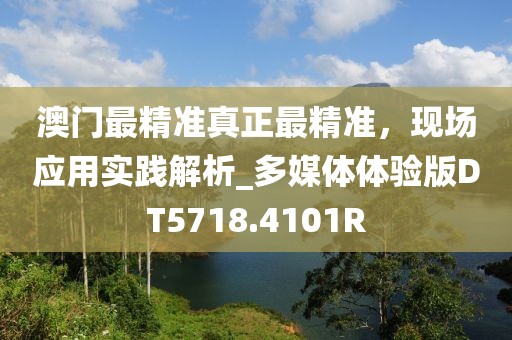 澳门最精准真正最精准，现场应用实践解析_多媒体体验版DT5718.4101R