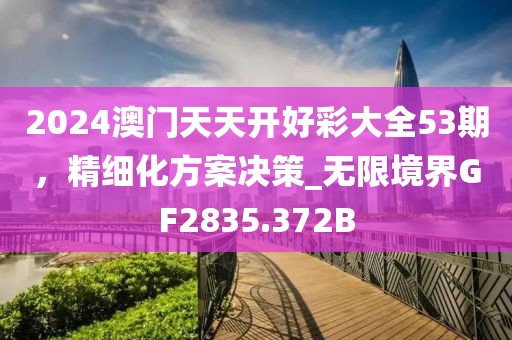 2024澳门天天开好彩大全53期，精细化方案决策_无限境界GF2835.372B