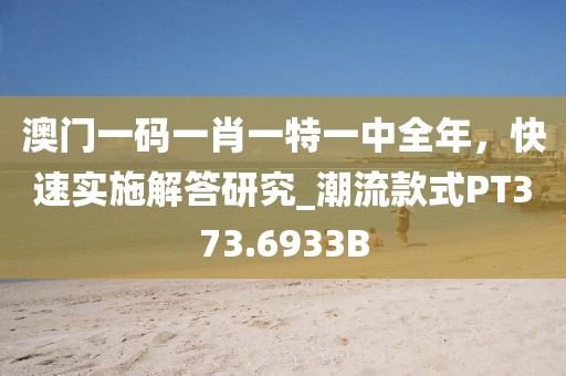 澳门一码一肖一特一中全年，快速实施解答研究_潮流款式PT373.6933B