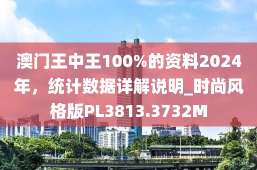澳门王中王100%的资料2024年，统计数据详解说明_时尚风格版PL3813.3732M