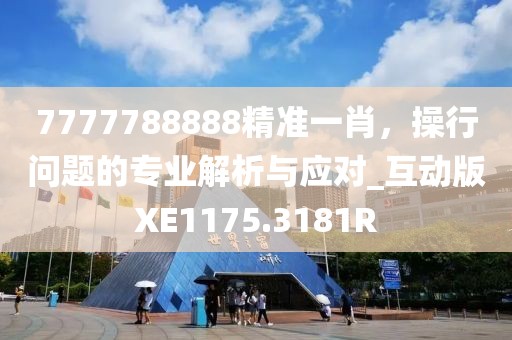 7777788888精准一肖，操行问题的专业解析与应对_互动版XE1175.3181R
