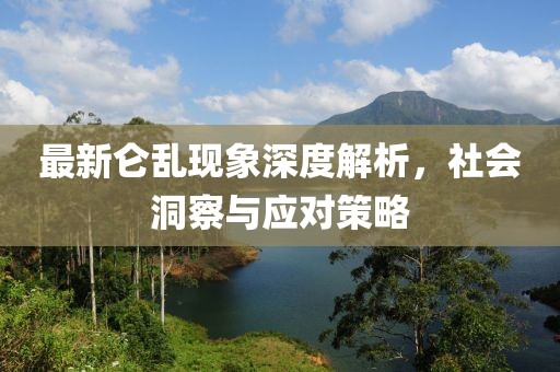 最新仑乱现象深度解析，社会洞察与应对策略