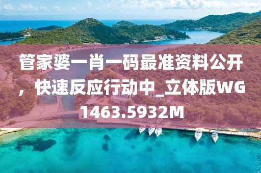 管家婆一肖一码最准资料公开，快速反应行动中_立体版WG1463.5932M
