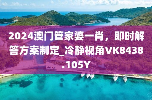 2024澳门管家婆一肖，即时解答方案制定_冷静视角VK8438.105Y