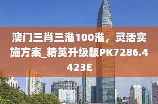 澳门三肖三淮100淮，灵活实施方案_精英升级版PK7286.4423E