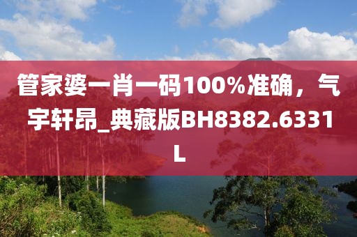 管家婆一肖一码100%准确，气宇轩昂_典藏版BH8382.6331L