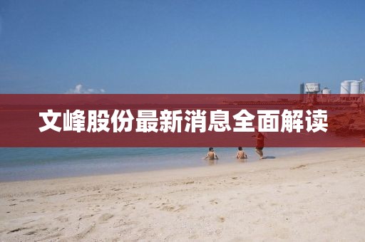 文峰股份最新消息全面解读