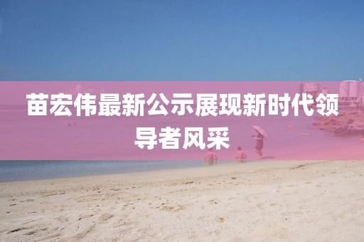 苗宏伟最新公示展现新时代领导者风采