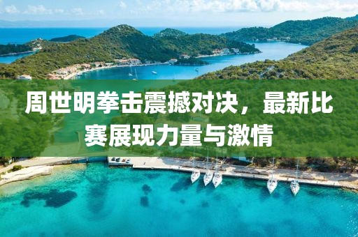 周世明拳击震撼对决，最新比赛展现力量与激情