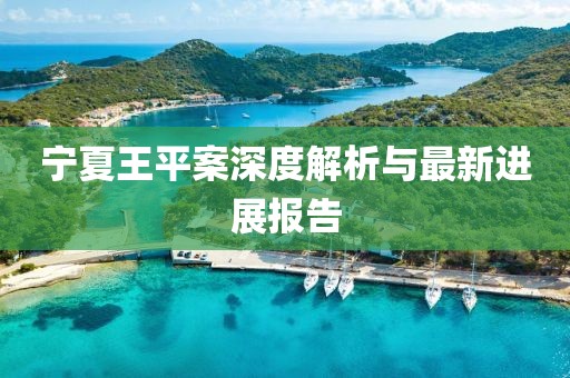 宁夏王平案深度解析与最新进展报告