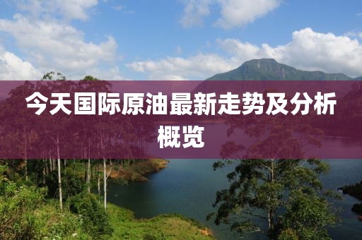 今天国际原油最新走势及分析概览