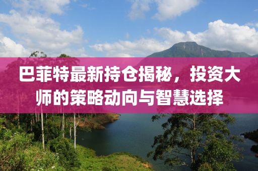巴菲特最新持仓揭秘，投资大师的策略动向与智慧选择