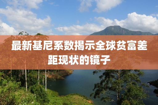 最新基尼系数揭示全球贫富差距现状的镜子