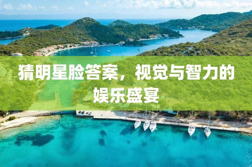猜明星脸答案，视觉与智力的娱乐盛宴