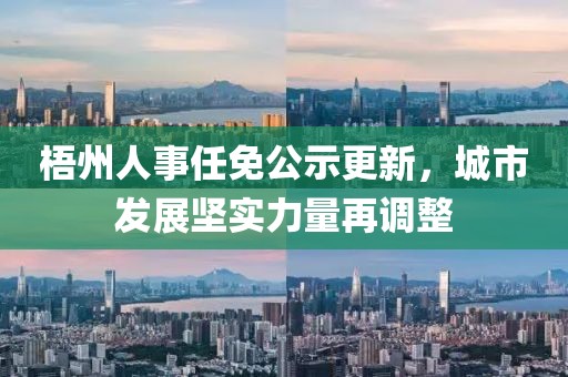 梧州人事任免公示更新，城市发展坚实力量再调整