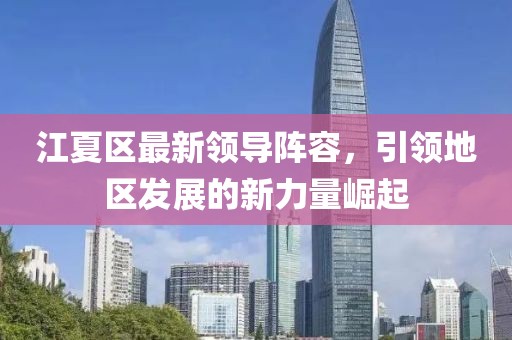 江夏区最新领导阵容，引领地区发展的新力量崛起