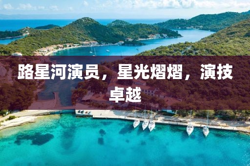 路星河演员，星光熠熠，演技卓越