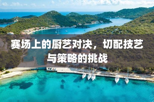 赛场上的厨艺对决，切配技艺与策略的挑战
