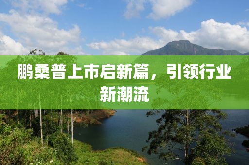 鹏桑普上市启新篇，引领行业新潮流