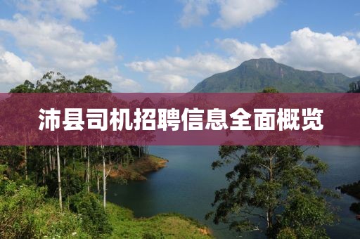 沛县司机招聘信息全面概览