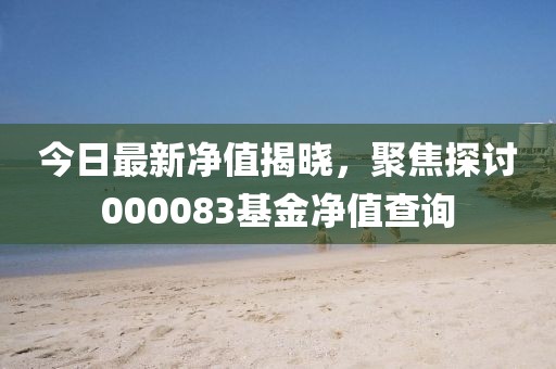今日最新净值揭晓，聚焦探讨000083基金净值查询