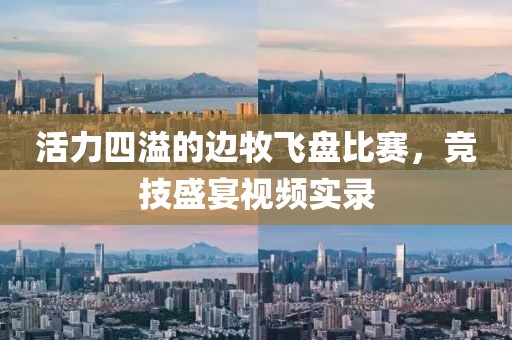 活力四溢的边牧飞盘比赛，竞技盛宴视频实录