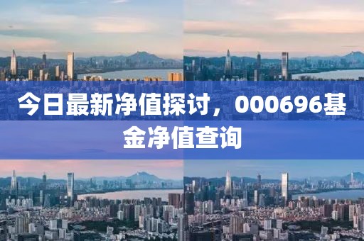 今日最新净值探讨，000696基金净值查询