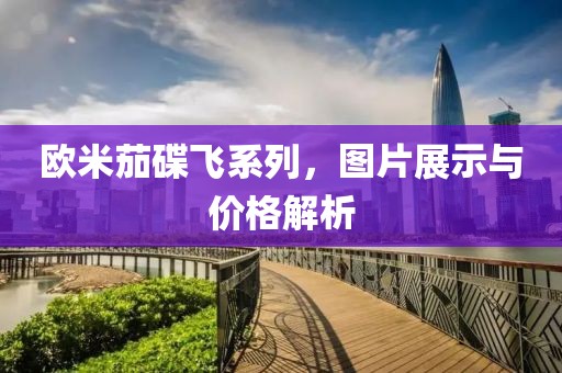 欧米茄碟飞系列，图片展示与价格解析