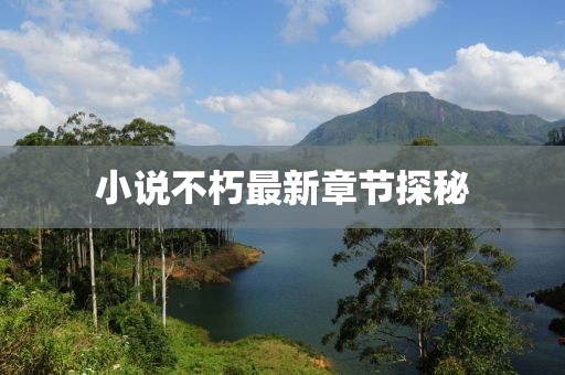 小说不朽最新章节探秘