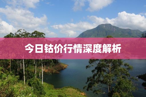 今日钴价行情深度解析