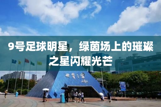 9号足球明星，绿茵场上的璀璨之星闪耀光芒