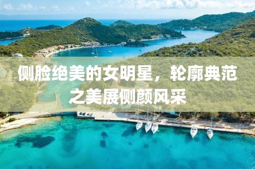 侧脸绝美的女明星，轮廓典范之美展侧颜风采