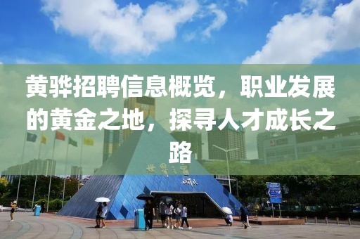 黄骅招聘信息概览，职业发展的黄金之地，探寻人才成长之路