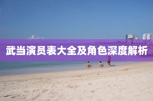 武当演员表大全及角色深度解析