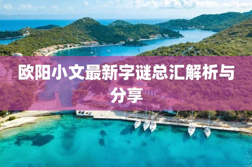 欧阳小文最新字谜总汇解析与分享